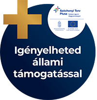 Állami támogatás